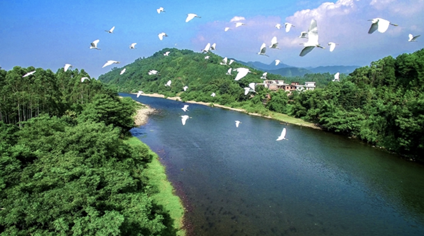 截屏2024-10-18 13.39.31.png